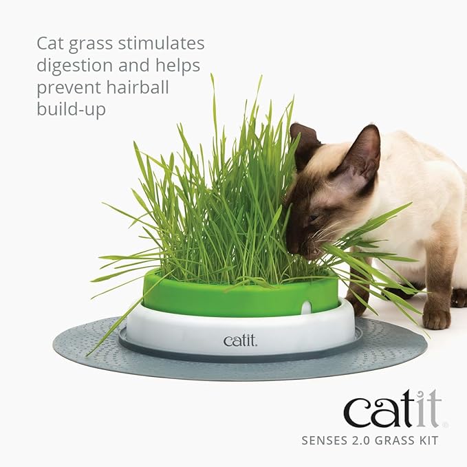 Catit Cat Toys Cat Grass Seeds (Set of 3)