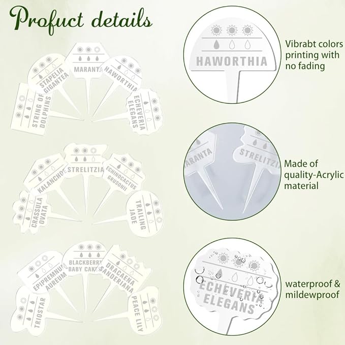 arricraft 15 Pcs Transparent Shaped Acrylic Plant Labels, Plant Sun Water Theme Waterproof Garden Stake Labels for Indoor Outdoor Potted Plants Nursery Markers Decorative Accessories 4.01x2.68 inches