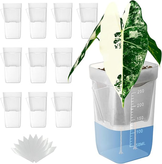 10 Pack 2.5 inch Small self Watering pots for Indoor Plants,semi hydroponic pots for leca and pon,Clear Plastic Plant Pot for Propagation,Seedling,Cutting and African Violet (Clear, 2.5 inch)