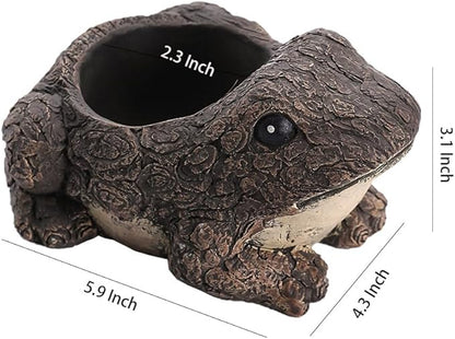 WAIT FLY Animal Cement Flower Pot Succulent Planter-Frog-1 PCS
