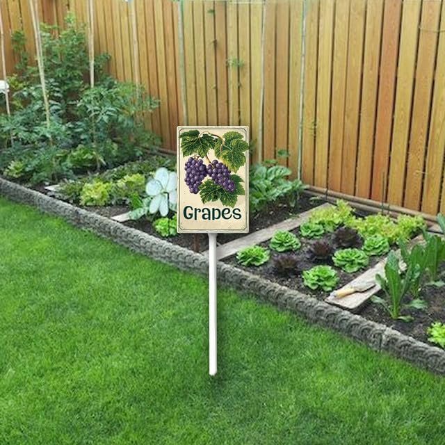 Uptell Vintage Aluminum Grapes Fruit Signs Yard Sign with Stake for Garden Fruit Garden Label Stakes Plant Markers for Outdoor Plants Waterproof 8x12 inch