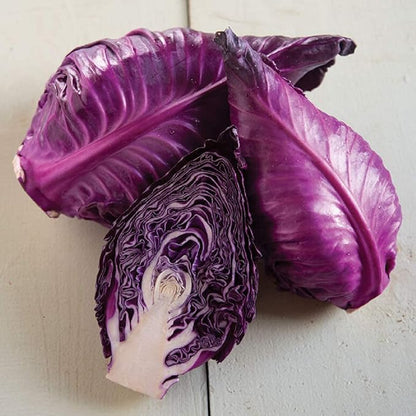 Seeds Red Kalibos Cabbage Giant Non GMO Vegetable for Planting