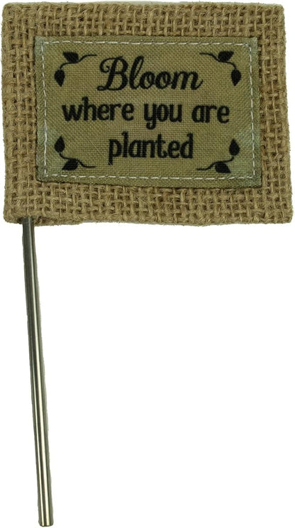 Cathedral Art Abbey & CA Gift Bloom Where Planted Flag Flower Pick, One Size, Multi
