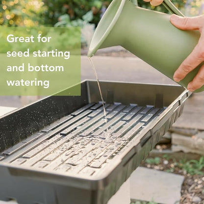 Bootstrap Farmer 1020 Trays - Extra Strength No Holes, 10 Pack, for Propagation Seed Starter, Plant Germination, Seedling Flat, Fodder, Microgreens