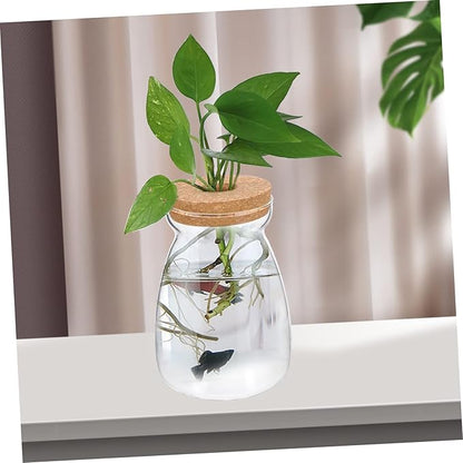 Large Glass Terrarium Jar for Hydroponic Plants - Indoor Miniature Garden Container with Open Hole Lid for Succulents and Decorative Ornaments