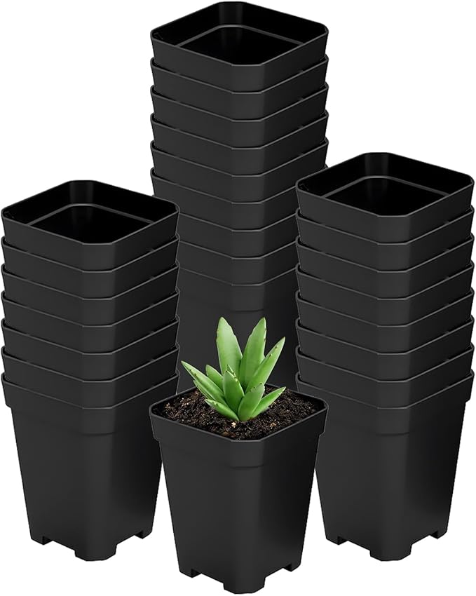 Square Nursery Pots 60Pcs 3" Deep Succulent Plastic Pots Small Flower Planter Seeds Starter Germination Pots for Plants, Succulent, Flower