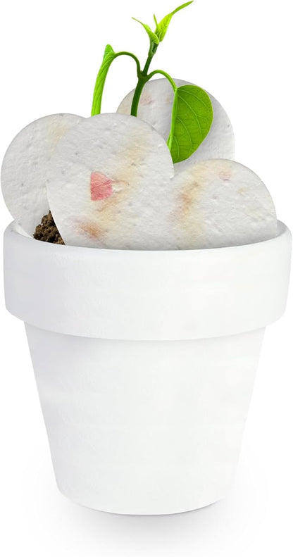 12pcs Mini White Pots – Small White Pots for Indoor or Outdoor Plants, Mini Planters for Flowers and Greenery, for Plant Lovers