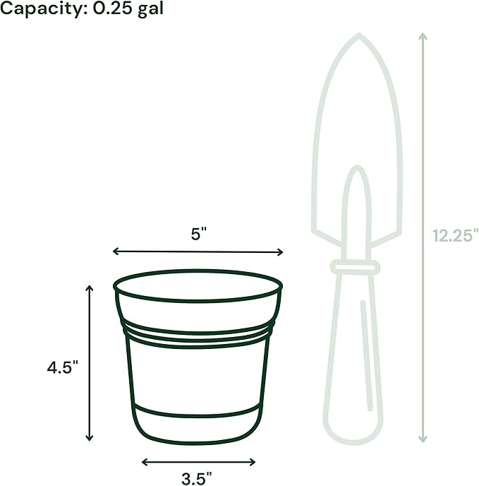 Bloem Saturn 5" Mango Round Resin Planter Pot with Snap-in Saucer for Indoor and Outdoor Gardening