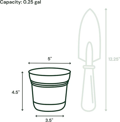 Bloem Saturn 5" Mint Green Round Resin Planter Pot with Snap-in Saucer for Indoor and Outdoor Gardening