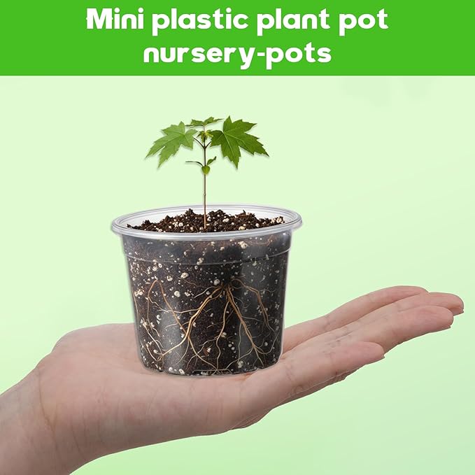 240 Pcs Clear Mini Plastic Plant Pot with Drainage Holes, 2.5 Inch Nursery Seedling Pots Seed Starter Round Plastic Pots for Succulent Plants Cuttings Transplanting, Indoor Outdoor Use
