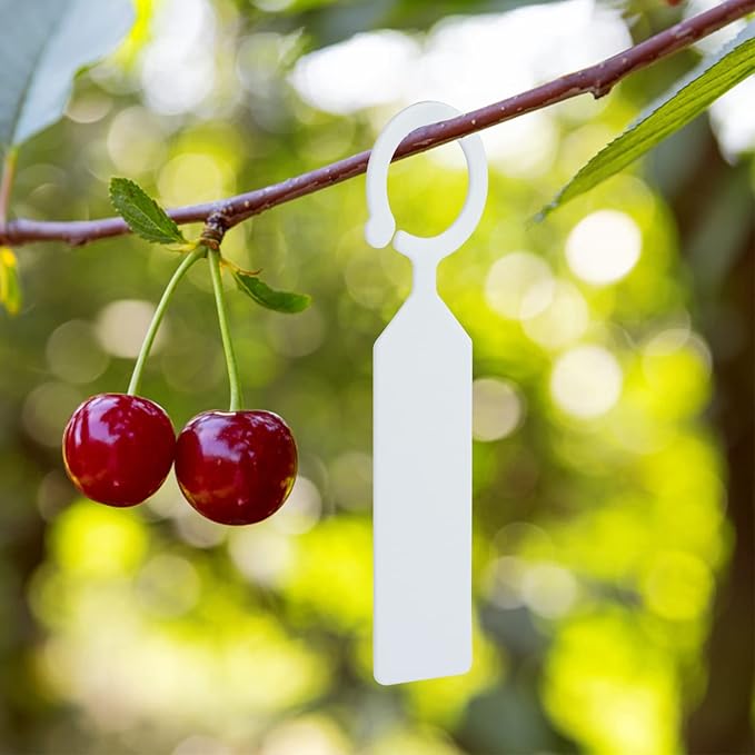 KINGLAKE GARDEN 100Pcs White Plastic Plant Tree Tags Ring Tag Hanging Plant Labels,Plant Tags Garden Labels Sturdy Nursery Garden Markers for Plant