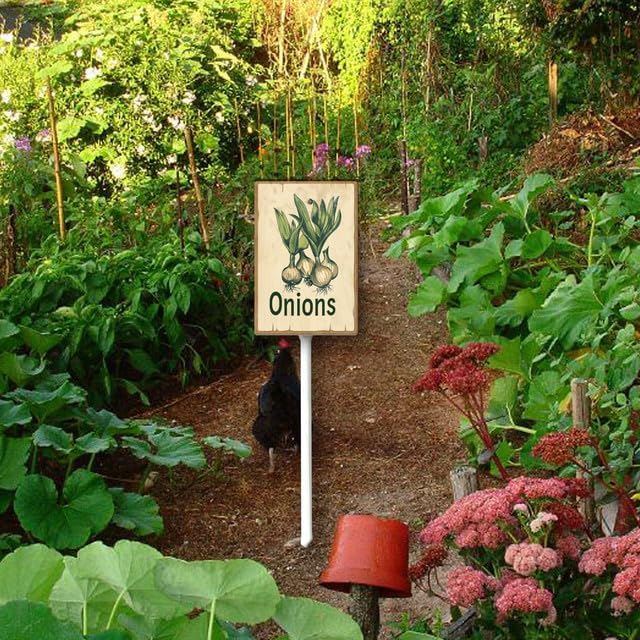 Uptell Vintage Vegetable Signs for Garden with Stake Onions Yard Sign Vegetable Garden Label Stakes Plant Markers for Outdoor Plants Waterproof 8.8x7inch