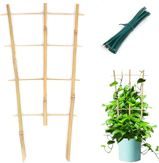 Plant Trellis Indoor, 3 Pack Bamboo Trellises, 16in Fan-Shaped Trellis for Potted Plants Climbing Plants Hoya Vine Ivy