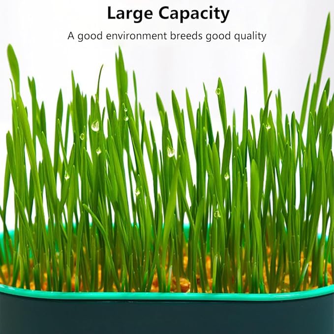 Household Cat Grass Planter, Plastic Catnip Cat Grass Box Soil Cat Plant Planting Box Nursery Cat Plant for Pet(Size:3pcs)
