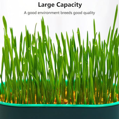 Household Cat Grass Planter, Plastic Catnip Cat Grass Box Soil Cat Plant Planting Box Nursery Cat Plant for Pet(Size:3pcs)