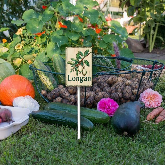 Uptell Vintage Aluminum Longan Fruit Signs Yard Sign with Stake for Garden Fruit Garden Label Stakes Plant Markers for Outdoor Plants Waterproof 8x12 inch