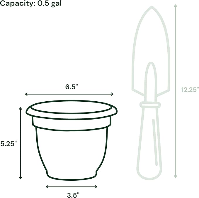 Bloem Ariana 6" Vanilla Bean Round Self-Watering Resin Planter Pot - Rolled Rim Indoor and Outdoor Gardening Planter