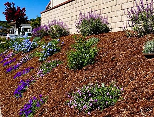 Hillside Planter-Set of (3) D.I.Y Erosion Control Soil Slope-Stabilization Runoff Conserves Water ECO 1-5 Gallon