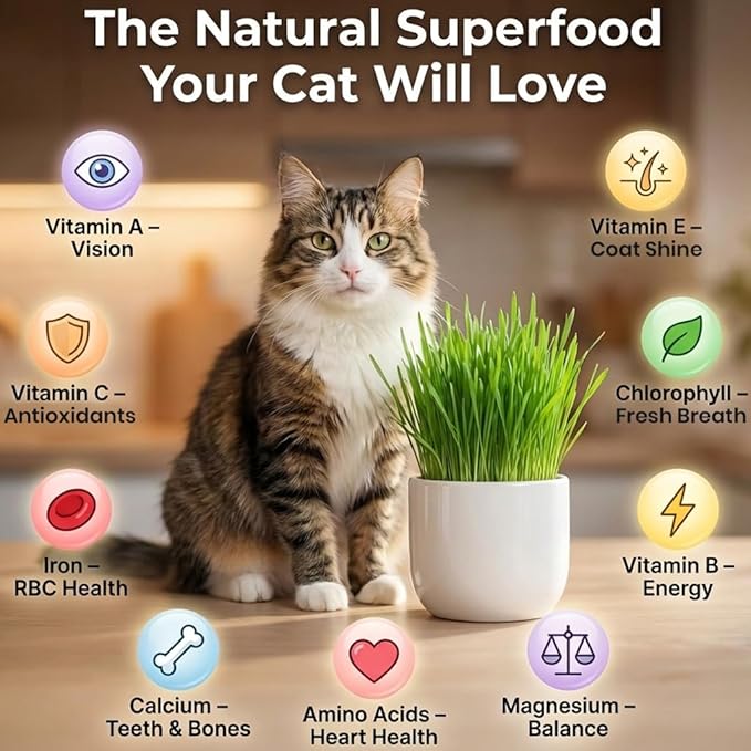 NatureZ Edge Premium Cat Grass Seeds for Indoor Cats, Non GMO - 1 lb Oat & Barley Grass for Indoor Cats, Cat Plant, Kitty Lawn, Pet Grass, Hierba para Gatos, Made in USA