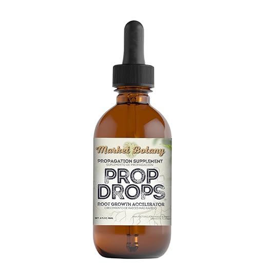 Prop Drops by Market Botany | Propagation Plant Drops to Promote Healthy Root Growth