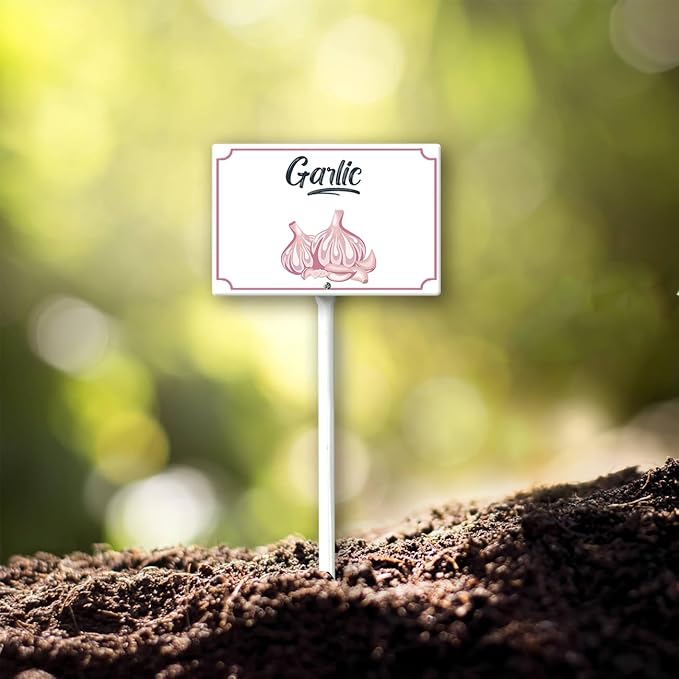 Boylee Aluminum Garden Signs With Stake - 8x12inch - Garlic - Modern Style - Weatherproof & Long Lasting