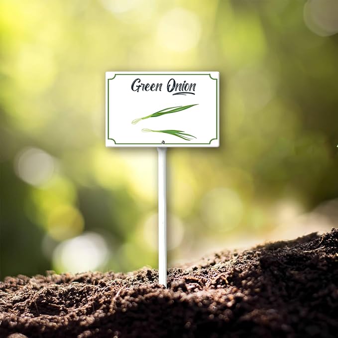 Boylee Green Onion Garden Signs 8x12inch Aluminum Yard Signs With Stake
