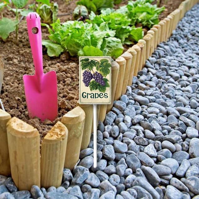 Uptell Vintage Aluminum Grapes Fruit Signs Yard Sign with Stake for Garden Fruit Garden Label Stakes Plant Markers for Outdoor Plants Waterproof 8x12 inch