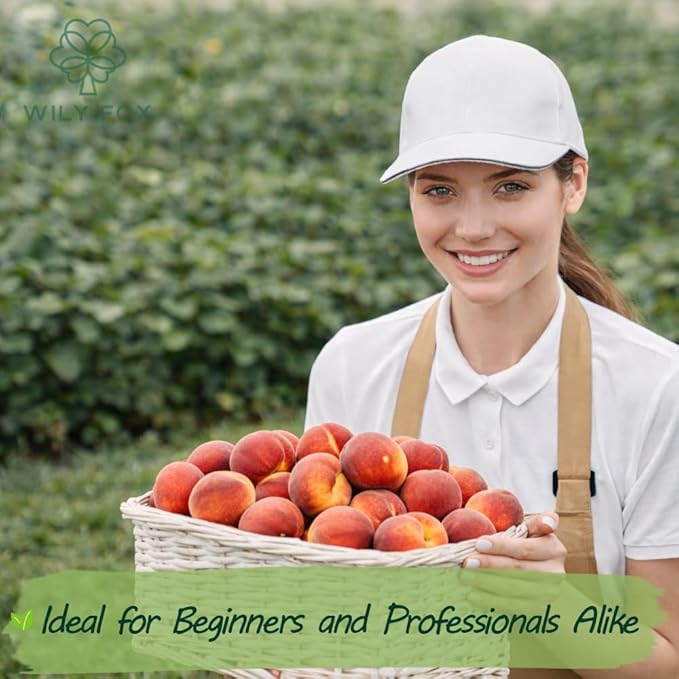 Peach Seeds for Planting – 3 Pcs Peach Tree Seeds for Home Garden, Fruit Tree Seeds for Backyard Orchard, Growing Instructions Included