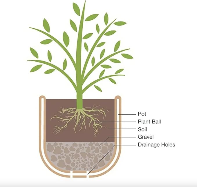 Rustic Whiskey Barrel Planter 19.9 Inch - Durable Plastic - Indoor/Outdoor Decor - Easy Knock-Out Drainage Holes - Lightweight & Frost Proof