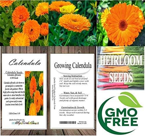 Big Pack - Calendula Flower Seeds (4,500 Seeds) - Calendula officinalis Pacific Beauty Mix - Edible Flower Seeds (Big Pack - Calendula Mix)