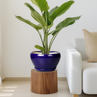 Ceramic Pot for Plants - 11 Inch Modern Round Indoor Planter with Drainage Hole and Planter Saucer for Flowers, Patio Office Home Room Decor, Gardening Gifts for Women & Men, Blue