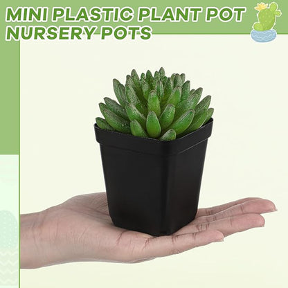 Yaomiao 200 Pack 3 Inch Black Nursery Pot Square Flower Pots Plastic Plant Succulent Planter Seed Starting Pots with Drainage Holes for Garden Office Balcony Decor Indoor Outdoor Plant Seedling