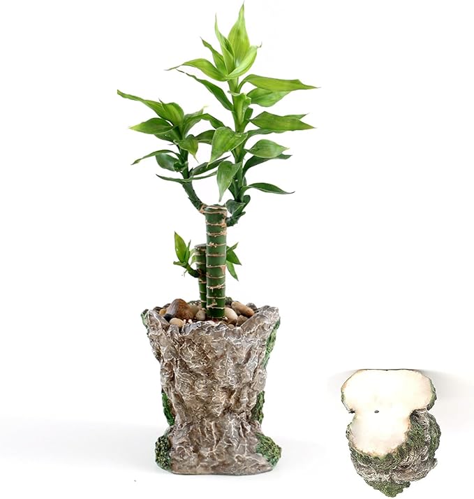 Funny Planter Head Planter with Drainage Hole Resin Plant Pot Pencil Holder Desk Storage(Mustache Man)