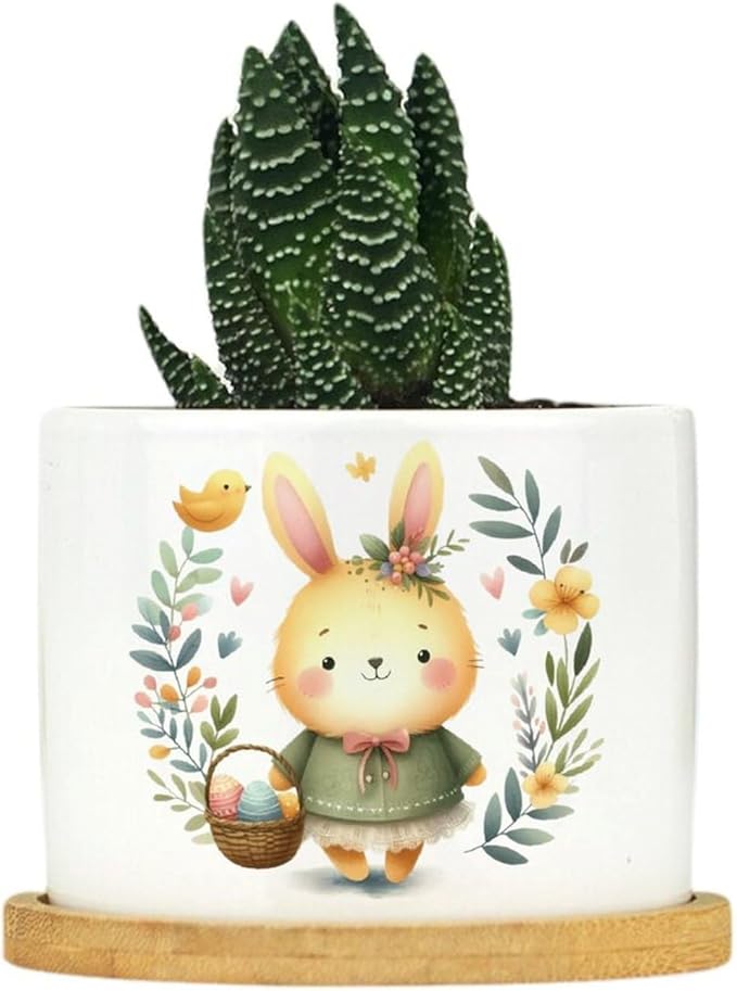 DreamAutumn Easter Bunny Rabbit Ceramic Planters Ceramic Pots with Saucers Orchid Pots for Plants Succulents Pots Office Desk Garden Balconys New Home Decor,Gifts for Mom Mother Grandmother