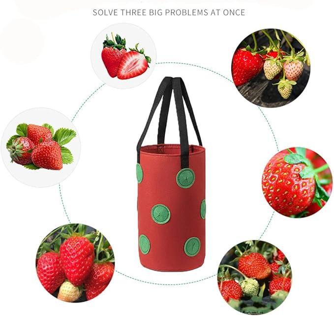 Ulalaza 2 PCS 13 Hole Strawberry Bags with Holes at The Bottom Hanging Planting Bags Hanging Strawberry Planting Bags 3 gallons 20cm*35cm/7.8inch*13.7inch