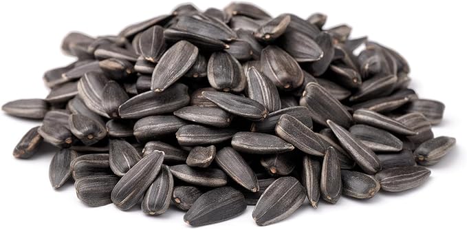 CountryMax Backyard Seeds Black Oil Sunflower Seeds for Wild Birds 20lbs - Thin Shells, Premium Cardinal Food, Large Bulk Bag of Black Oil Sunflower Seeds