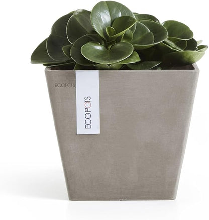 Ecopots Rotterdam Durable Modern Square Indoor/Outdoor Recycled-Based Composite Flower Planter, Taupe, 8"