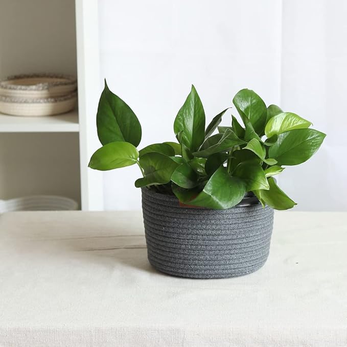 Indoor Hanging Flower Pot Basket,Party Wedding Home Garden Hanging Planter, Waterproof Lining Hydroponic Plant Pot-Dark Grey