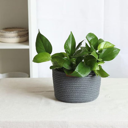 Indoor Hanging Flower Pot Basket,Party Wedding Home Garden Hanging Planter, Waterproof Lining Hydroponic Plant Pot-Dark Grey