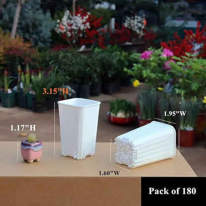 BangQiao 180 Pack 1.95 Inch Tiny White Plastic Square Nursery and Seedling Pot, Mini Deep Transplant Seed Starter Planter with Drain Hole for Germination, Herb, Succulent