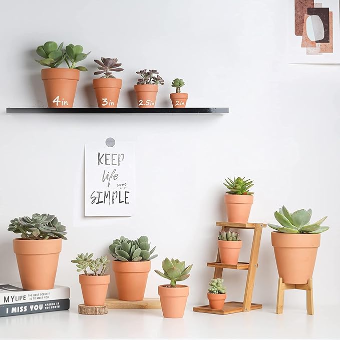 3 Inch Terracotta Starter Pots with Saucers – Clay Planting System for Seedlings, Cuttings & Succulents, Reliable Drainage for Healthy Roots, Ideal for Beginners & Small Spaces