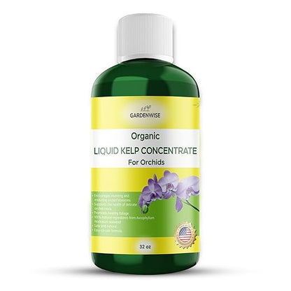 Organic Premium Kelp Seaweed Concentrate: Fertilizer for Orchids - Orchid Food (16 OZ)