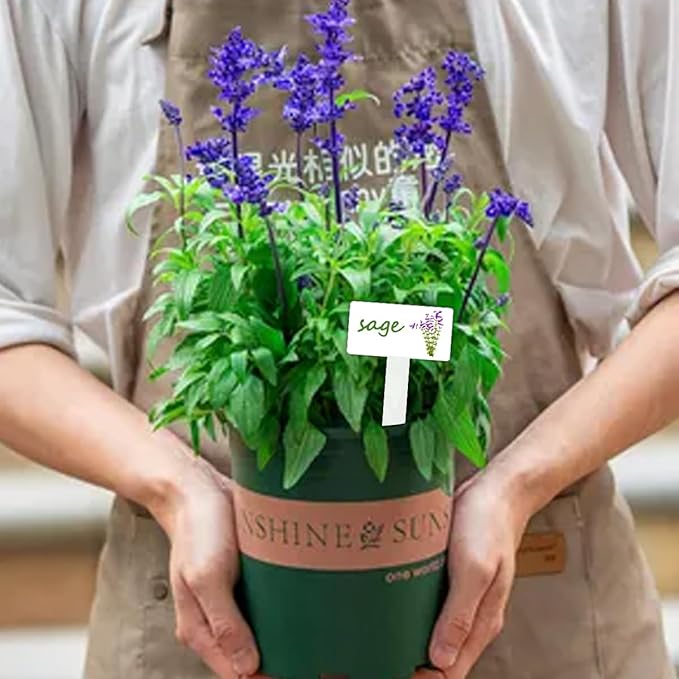 Plant Label Signs Waterproof Reusable Plant Stake Tags with Plant Stickers,24 pcs per Pack