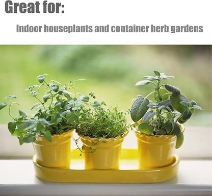 Organic Potting Soil Mix for All Indoor & Outdoor Small Containers Including Herbs, Vegetables, and Flowers 2 qt