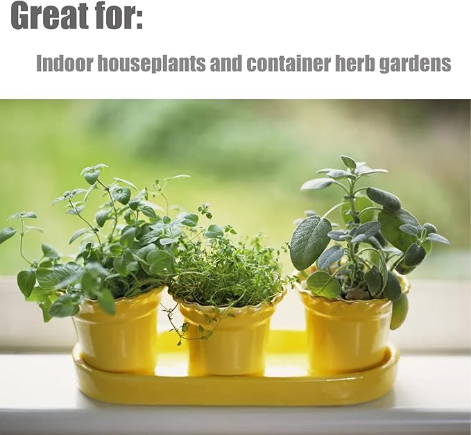 Organic Potting Soil Mix for All Indoor & Outdoor Small Containers Including Herbs, Vegetables, and Flowers 1 qt