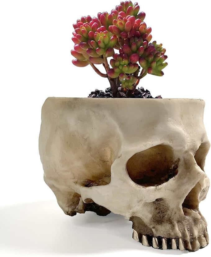 RMM Halloween Decoration Retro Human Skull Head Flower Pot Planter Bed Box Container Replica Home Bar Décor,Clear