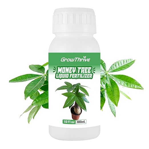 Money Tree Fertilizer for Money Trees and All Pachira Plants,Microbial Organic Liquid Plant Food for Houseplants’ Healthy Growth & Glossy Leaves 10 oz (300mL)