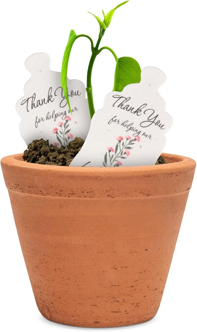 Bottle Shaped Seed Paper – 15Pcs Pink Shower Favors for Guests with Wildflower Seeds, Writable & Plantable, Shower Favor Gifts for Guest