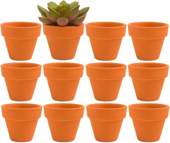 Mini Terracotta Clay Flower Pots 2 inch with Drainage Holes for for Tiny Cactus Herb lithop,Small Succulent Planter Nursery Plant Pot for Home Garden Table DIY Hand Craft Gift Decoration-12 Pack