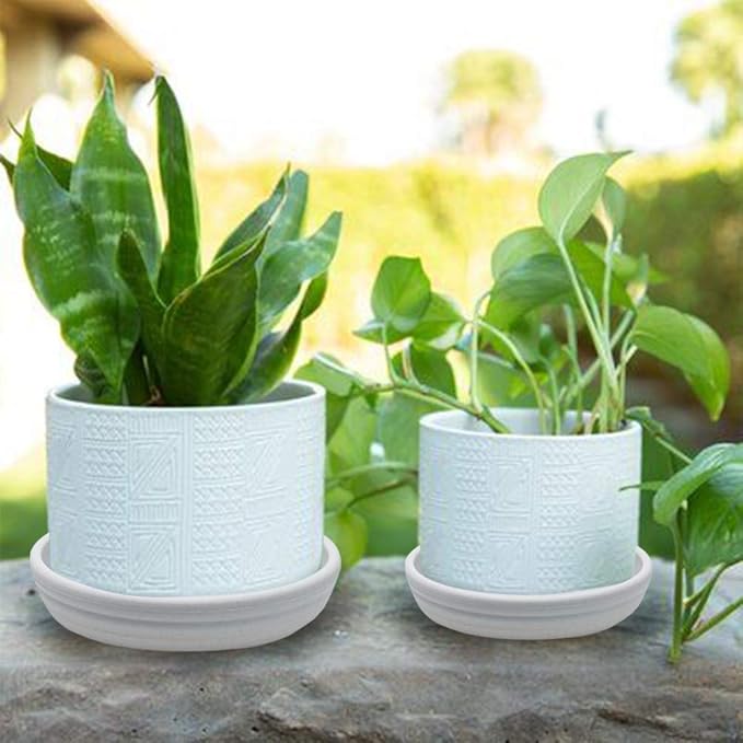 SAROSORA Round Plastic Plant Saucer Drip Tray Set of 6 for Indoor Outdoor Home Garden Flower Plant Container Flower Pot Pallets ((9.4''+10.4"+12'') x2, White-Grey)